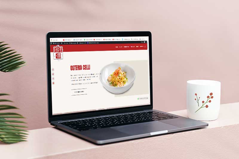 We present our new website